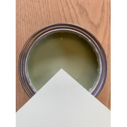 30ml Touch Up Paint - Willow